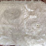 روتختی ساتن