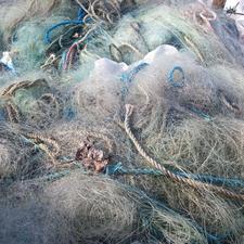 دام ماهیگیری