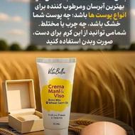 کرم جوانه گندم