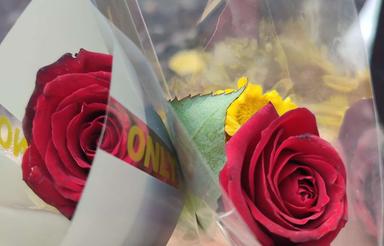 135متر نوساز میدان وادی