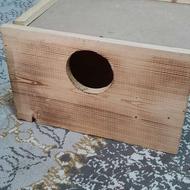 لونه ی پرنده