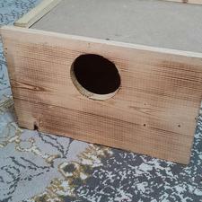 لونه ی پرنده