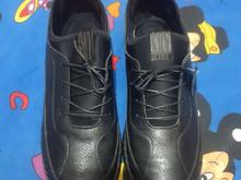 کفش طبی نوی نو در شیپور