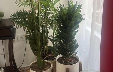 50 متری واقع در شیخ هادی جامی