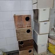 لانه چوبی مرغ عشق و عروس و...