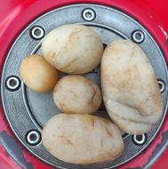 سنگ یاقوت،عقیق