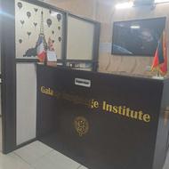 مدرس زبان انگلیسی (خانم)