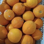 تامسون تازه چین 40کیلو