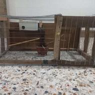 قفس پرنده انواع چوبی . آهنی بزرگ