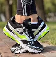 ساکونی عمده اقتصادی