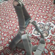 قلاده کتفی و سینه بند برزنتی