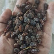 روستا هادی آباد کشمکش بیدانه