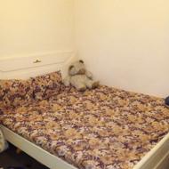 تخت خواب چوب گردو دونفره