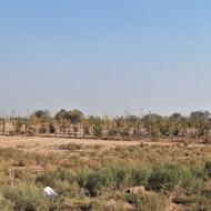 یک قطعه زمین مناسب باغچه