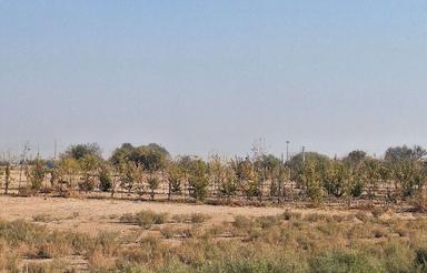 یک قطعه زمین مناسب باغچه