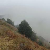 زمین فروشی سند تک برگی ویو عالی دوسمت یه سمت کوه یه سمت دریا