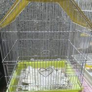 قفس زیبا معاوضه با پرنده