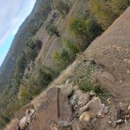 بازاریاب تلفنی و نیازمندیم