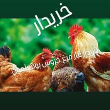 خریدار حیوانات محلی قاز مرغ خروس بوقعلون