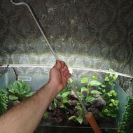 هوک میله مارگیری