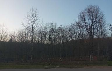 متری در منطقه توریستی جاده برنجستانک