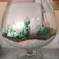 تراریوم عیدانه تولیدی