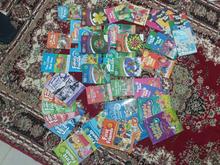 کتاب زبان فمیلی و مجیک در شیپور