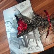 گل جاودان شاخه ای (عمده و تکی)