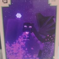 فروش یا معاوضه کارت ماینکرفت