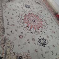 فرش 12 متری 1000 شانه