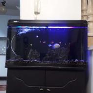 آکواریوم یک متری شیشه خم