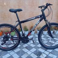 دوچرخه حرفه ای