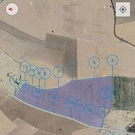 پنج هکتار برای پیاز، ده هکتار برای صیفی جات و سیب زمینی،