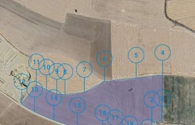 پنج هکتار برای پیاز، ده هکتار برای صیفی جات و سیب زمینی،