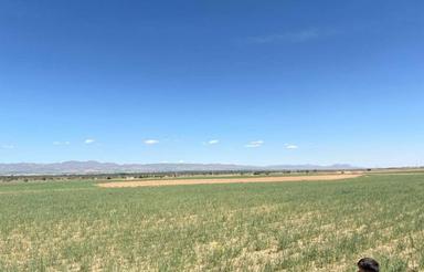 15 هزار متر زمین زراعی