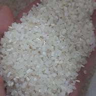 نیمدانه دم سیاه به شرط