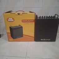 اکو امپلی فایر هوراند