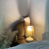 واگذاری رایگان گربه نر عقیم شده