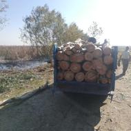 خرید چوب صنوبر وانواع چوب باغی وچوب مرکبات به نرخ روز