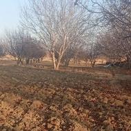 باغ کشاورزی