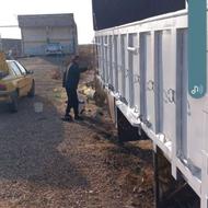 اتاق آمیکو تک باری جک دار سالم درقزوین