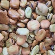 باقلی درجه 1 درشت و دستچین