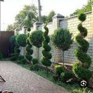 مهندس کشاورزی هستم باتیمی حرفه ای