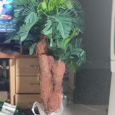 یک عدد بوته مصنوعی سالم وتمیز