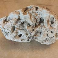 مرجان برای آکواریوم و تزیین