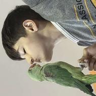 طوطی و پرنده