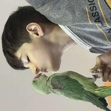 طوطی و پرنده