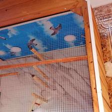 قفس پرنده زینتی