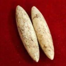 مهره مار اصل برنجی رگه دار سفید