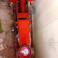 جکسوسماری ژاپنی